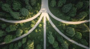 Design and Development Roads Converge at Biocompatibility